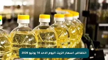 انخفاض أسعار الزيت اليوم الأحد 14 يونيو 2026